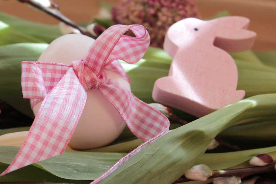 Angebot - Winter - Oster Special