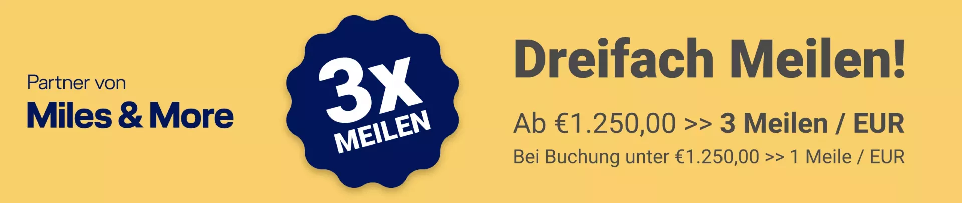 zedernklang-promo-2026.06-banner-2