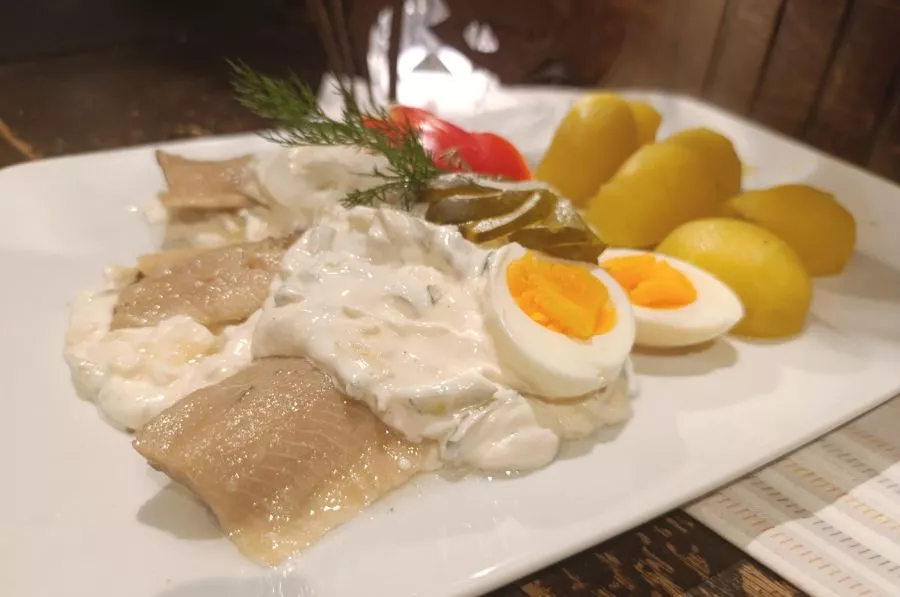 Grühkohl -Superfood aus der Regiom matjes