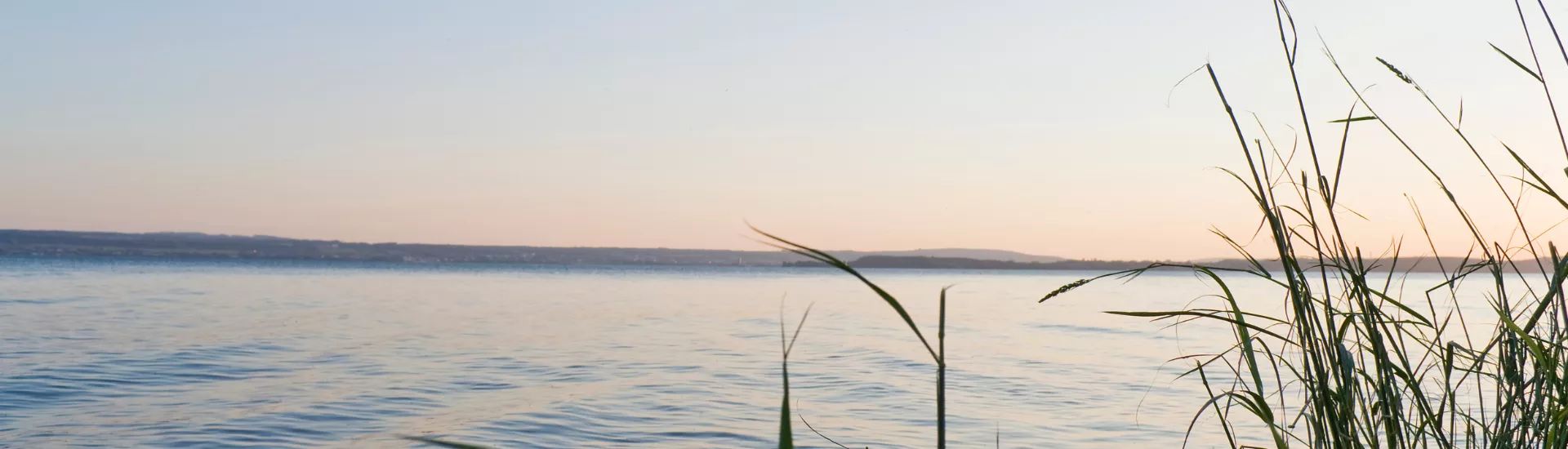 Design ohne Titel (18)