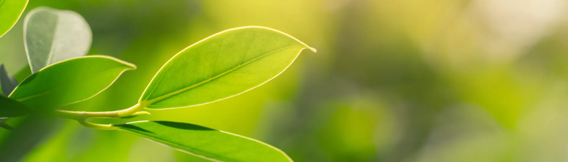 Design ohne Titel (30)