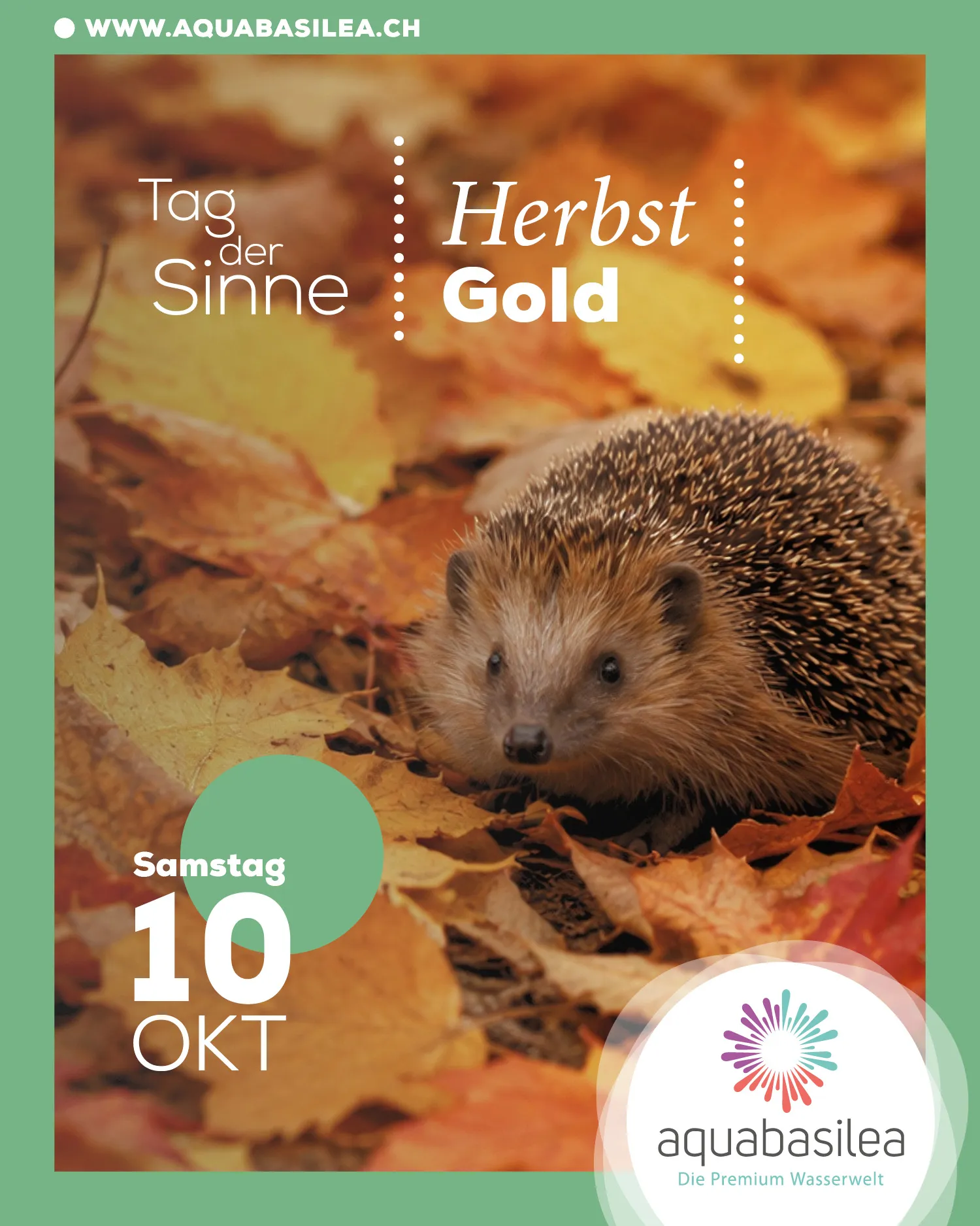 Insta TDS Okt