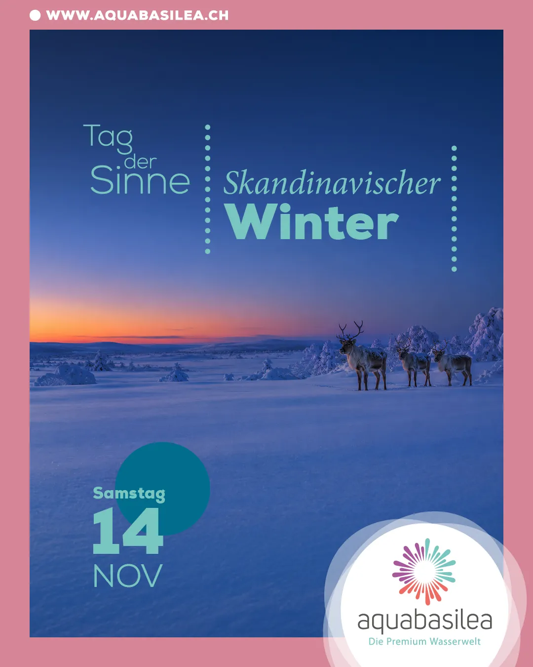 Insta_TDS_11_Skand_Winter