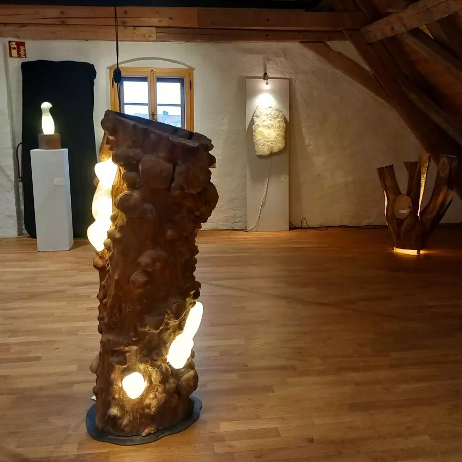 Erdweg 2025 Bild 1