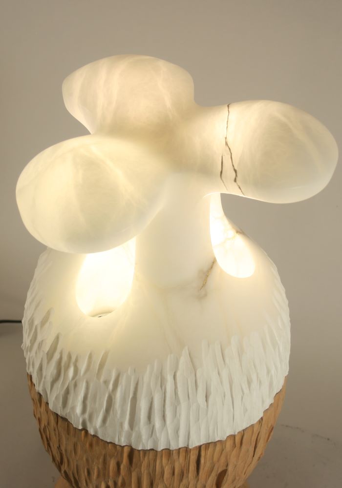 la frutta de luz -kl -3