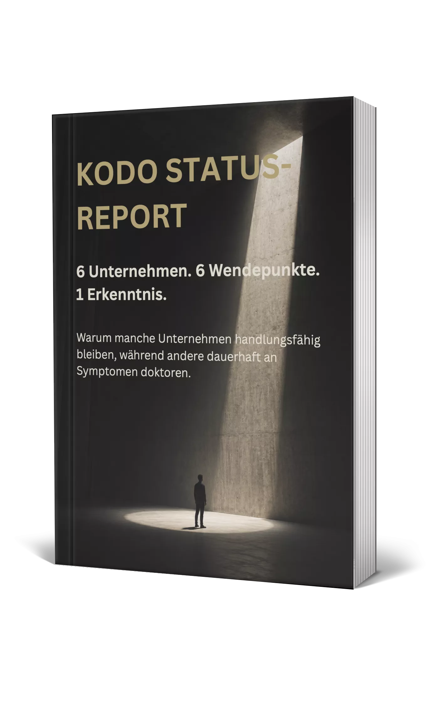 3 Cover Report