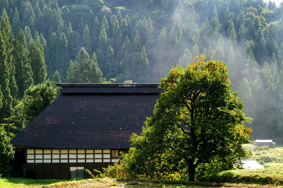 Camp 4 (900 x 600 px)