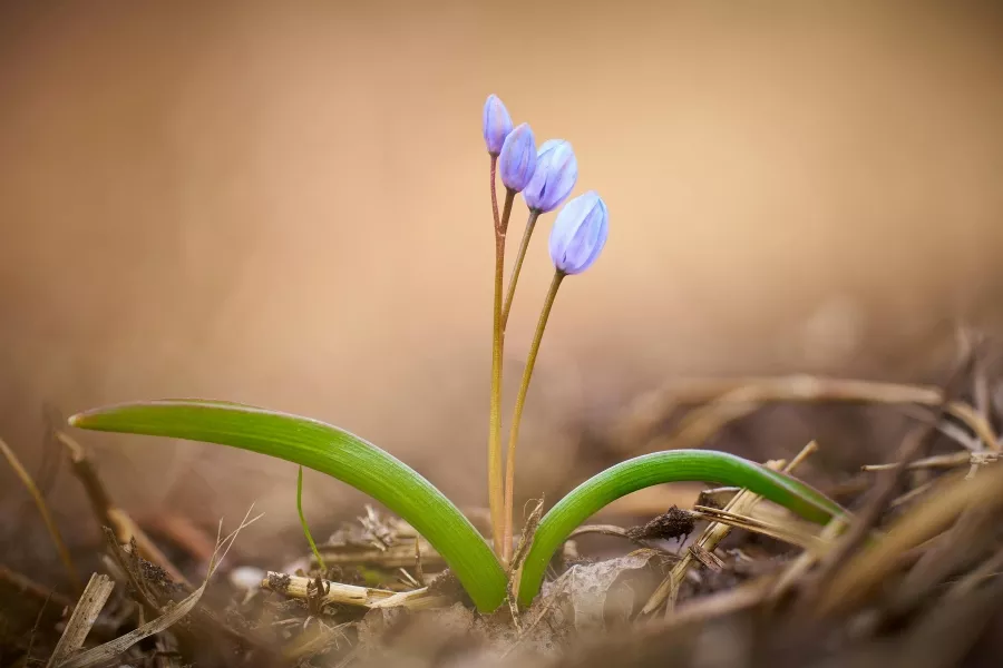 Abschied - Neubeginn 900x600_2