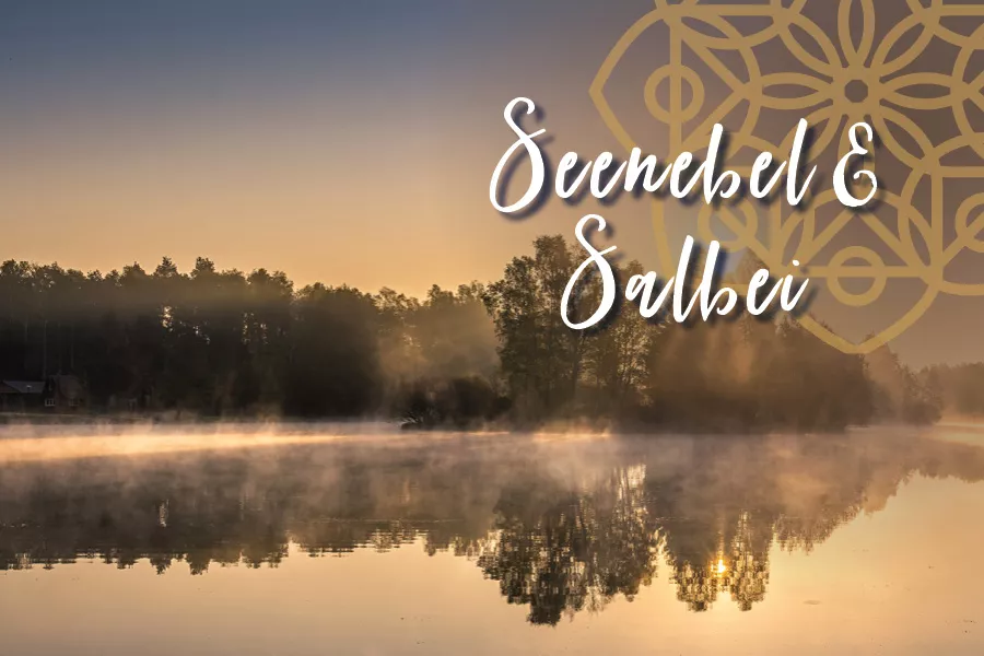 Beats unter Palmen Bilder_Jan263