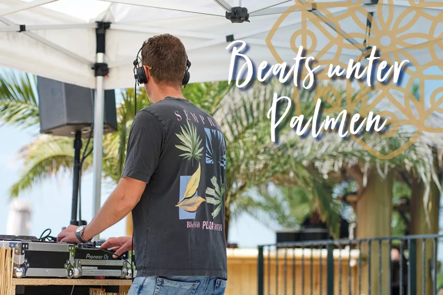 Beats unter Palmen Bilder_Nov