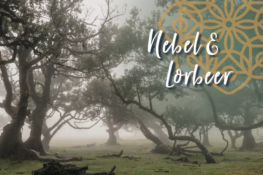 Olive trifft Brandenburg Bilder_Nov3