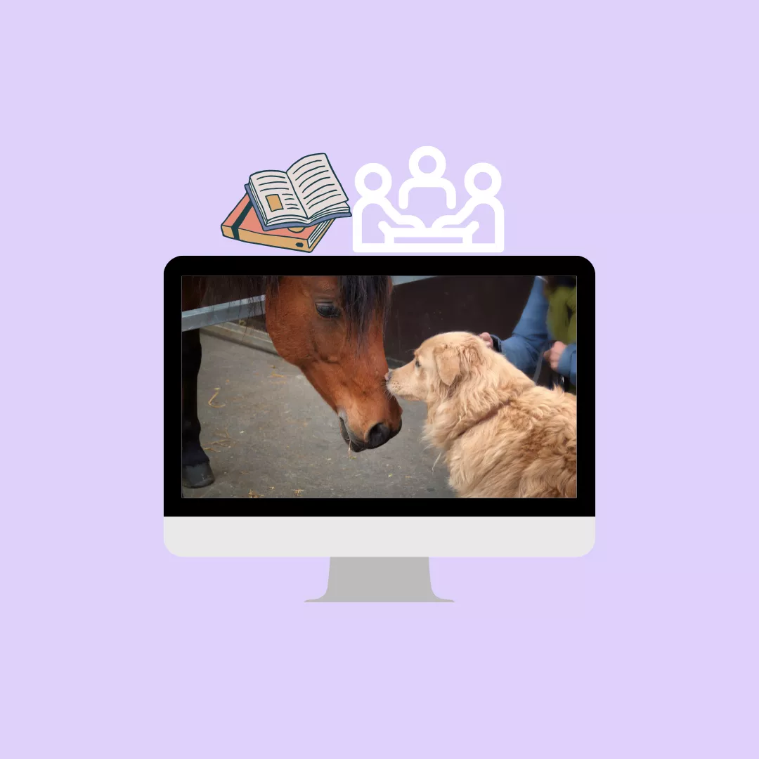 Bild Akuausbildung NEU