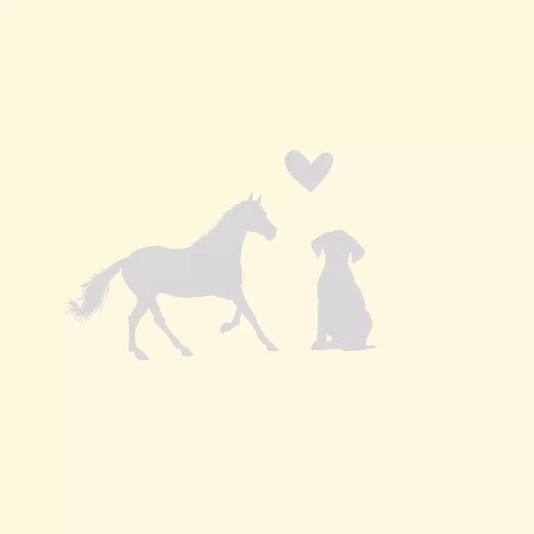 Bild Pferd und Hund