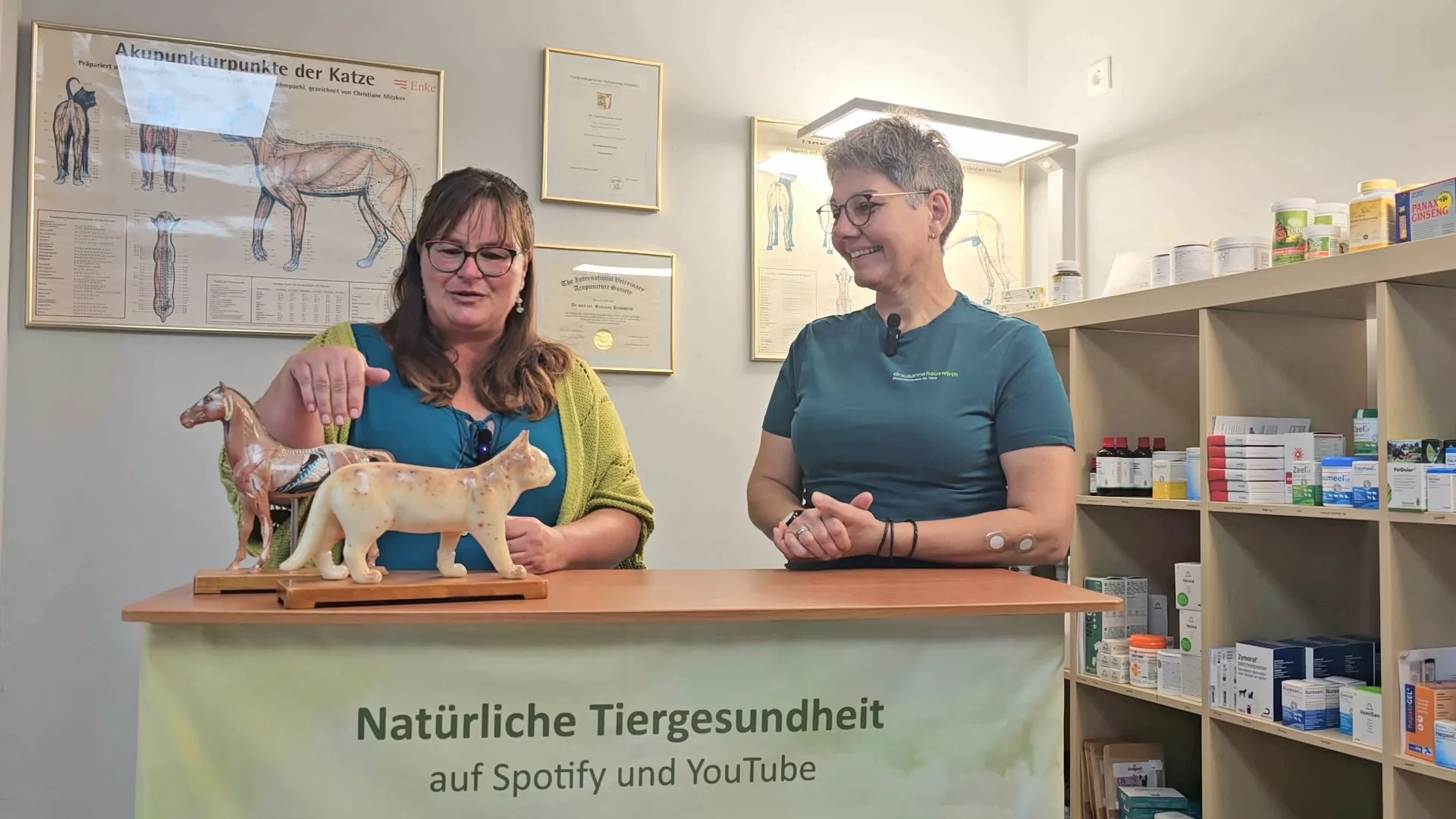 Bild Podcast Susanne und Sandra
