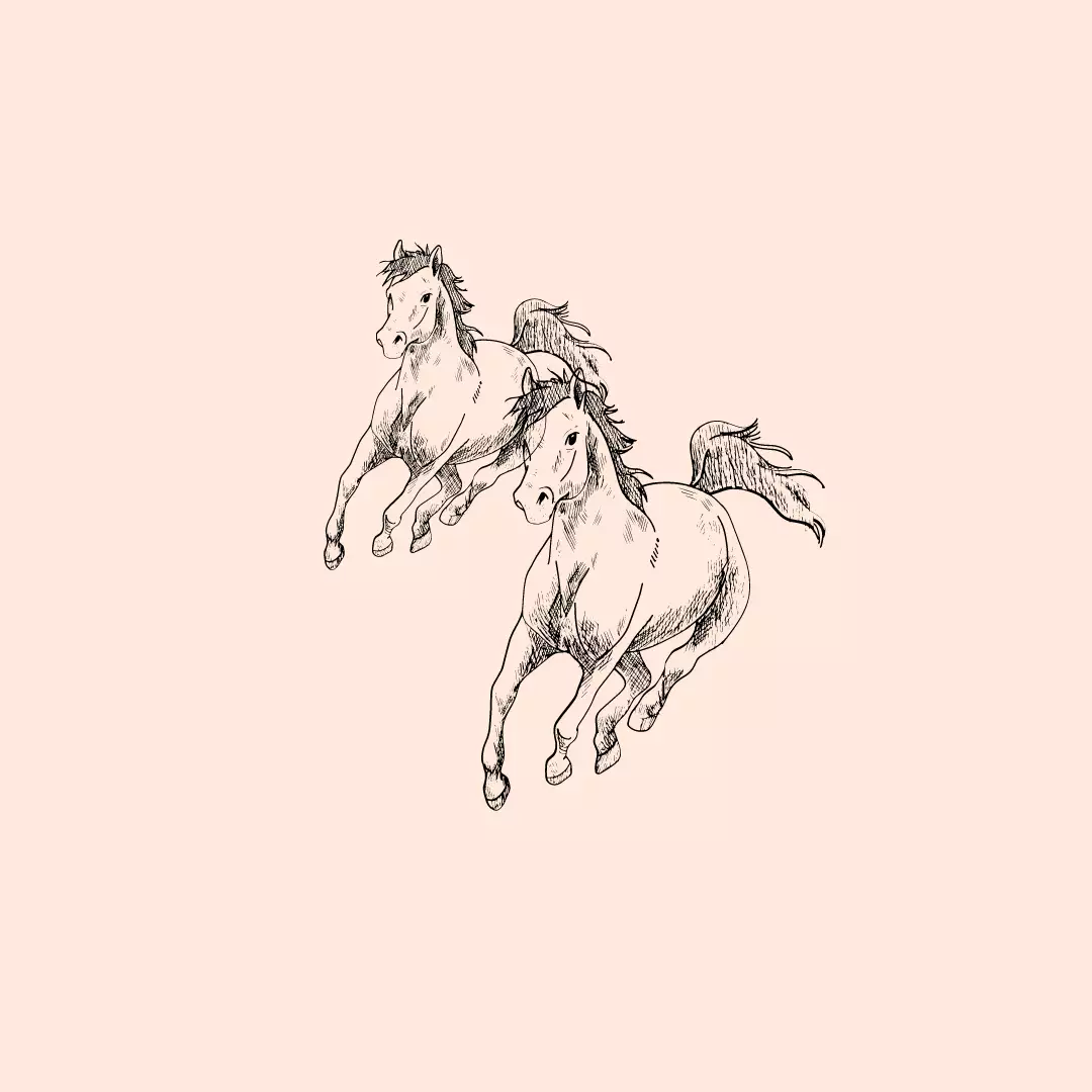 Bild zwei Pferde