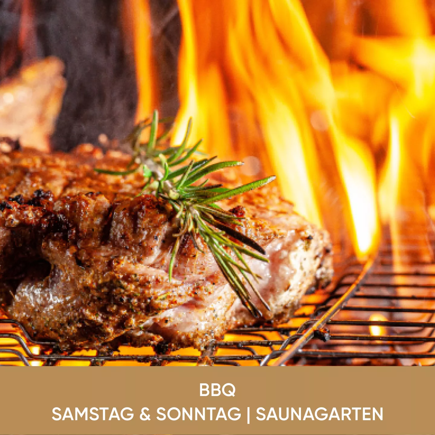 Inhalte_Sauna_2026_BBQ