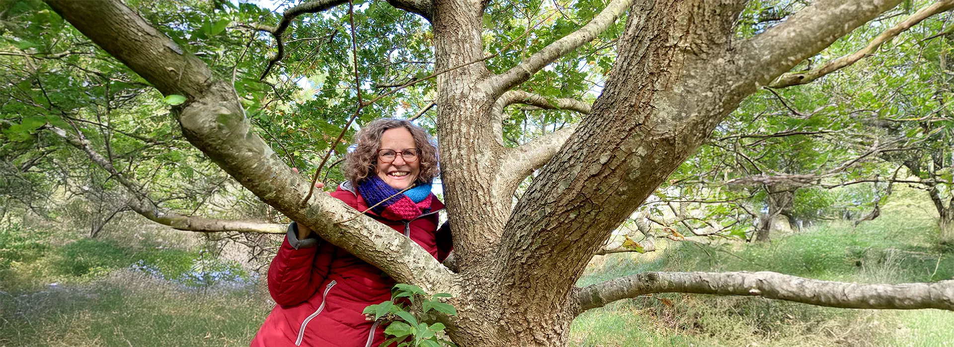 Barbara_Wald_Baum_Blog_NL_Ahnen_12.10.25_1920x700