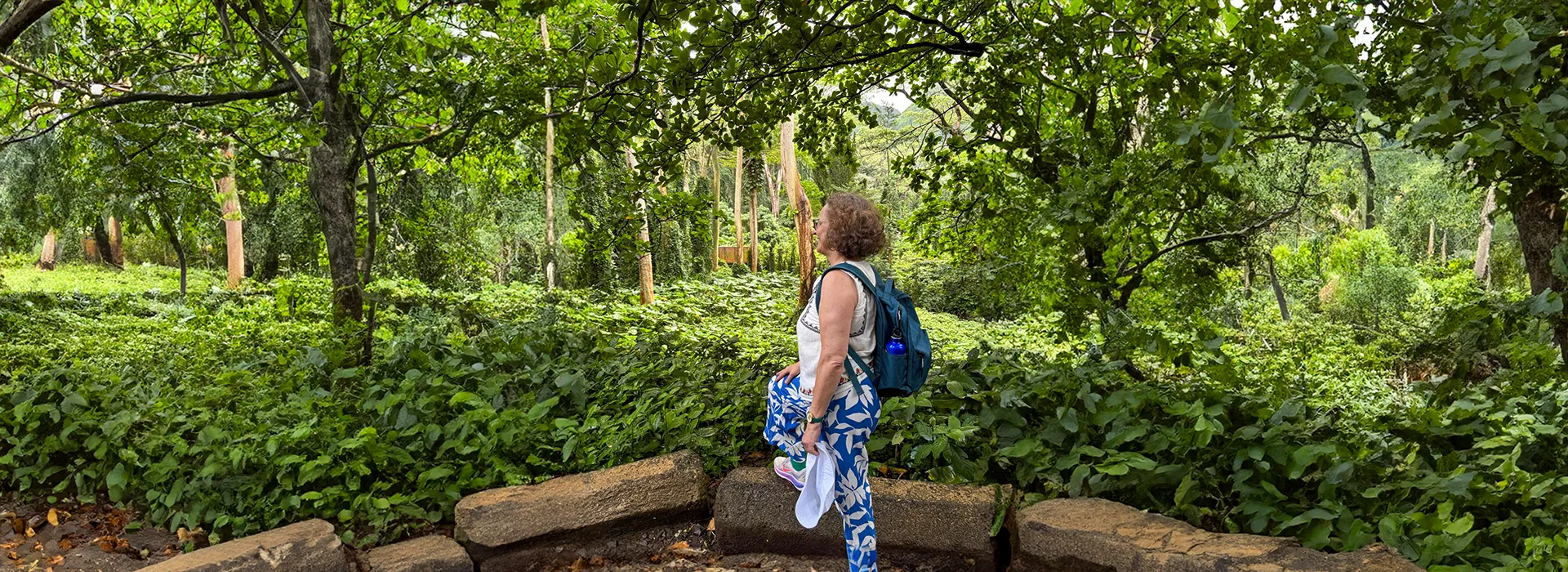 Barbara_Wanderung_Wald_Blog_NL_20.9.26_1920x700
