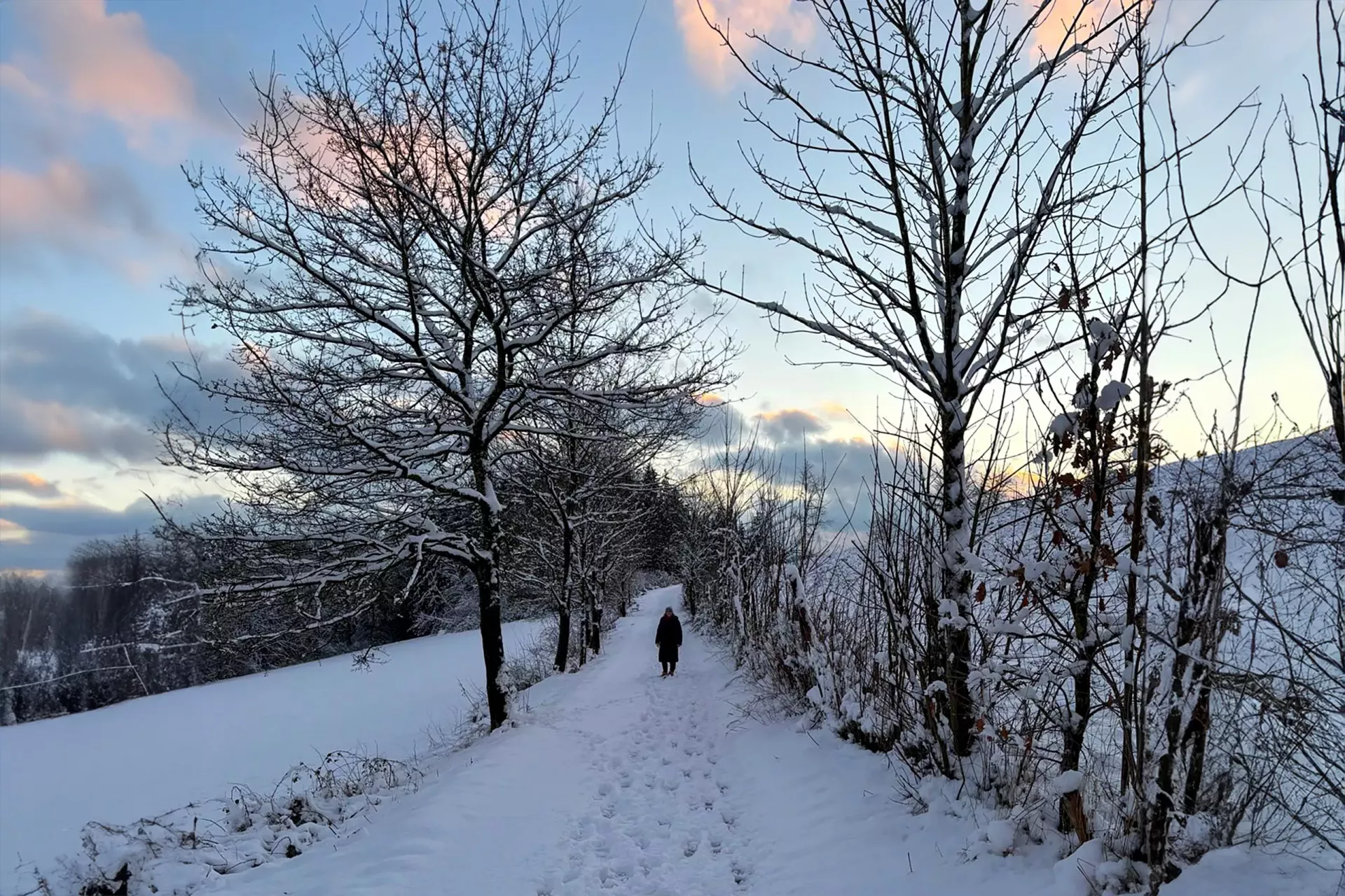 Weg_Schnee_Jan25_Blog_NL_16.2.25_900x600