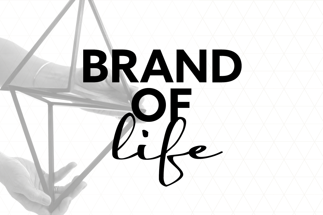 HOLIB_Container_quer_Brand_of_life