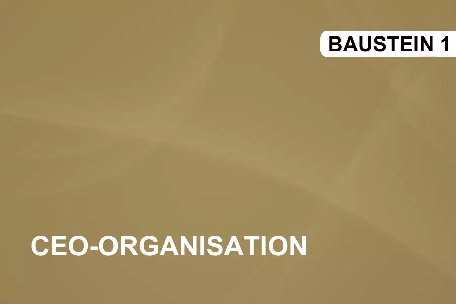 CEO-Organisation (Seminar)