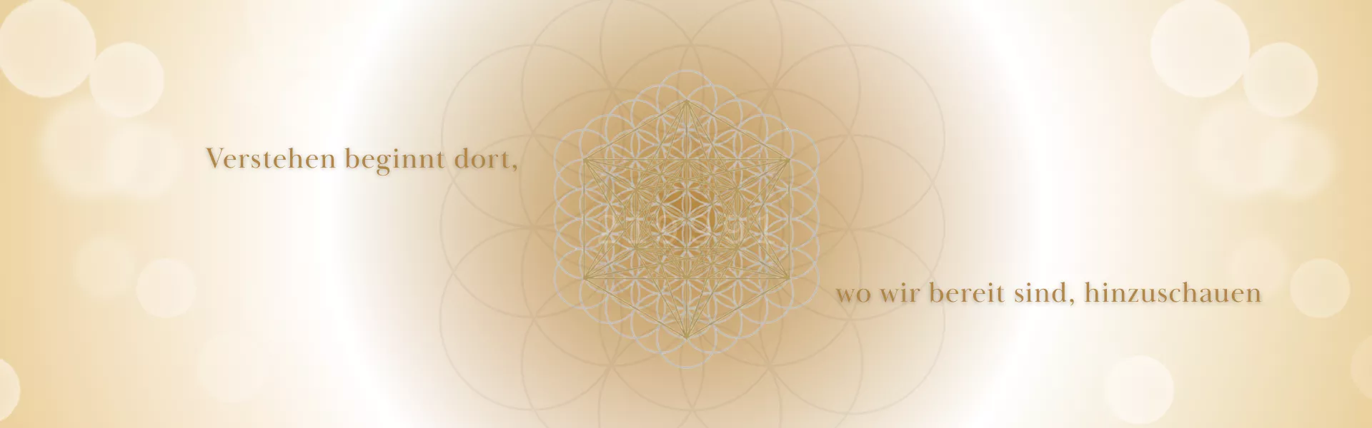 1 Metamedizin 01.2026