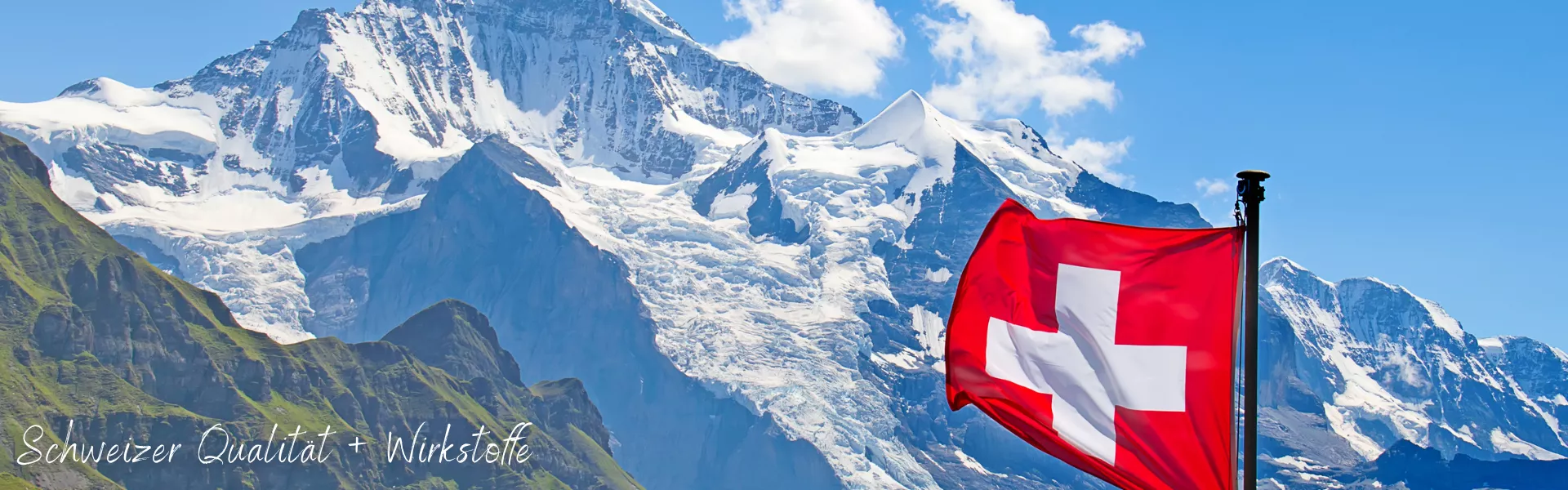 Startseite Deesse2.2026